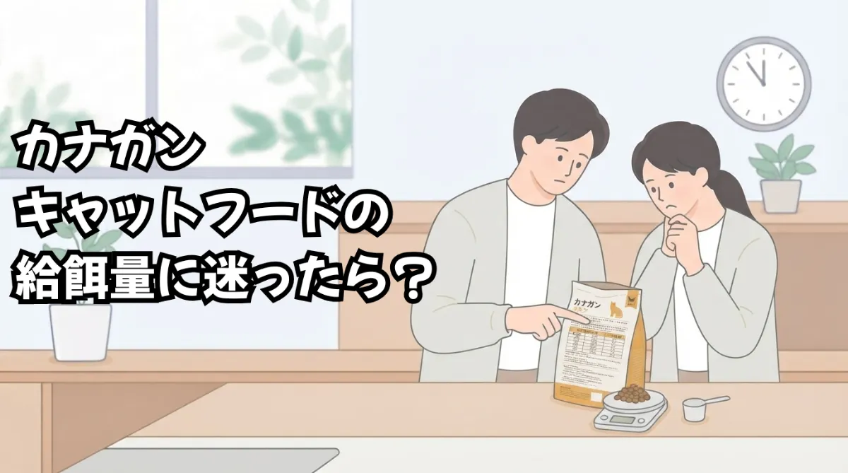 カナガンキャットフードの給餌量に迷ったら？正しい計算と調整のコツ