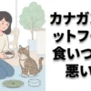 カナガンキャットフードの食いつきが悪い？原因と解決法