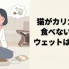 猫がカリカリは食べないのにウェットは食べるときの原因と対策