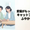愛猫がもっと喜ぶ！キャットフードのふやかし方と知っておきたいコツ