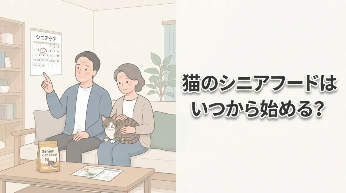 猫のシニアフードはいつから始める？年齢目安と正しい切り替えガイド